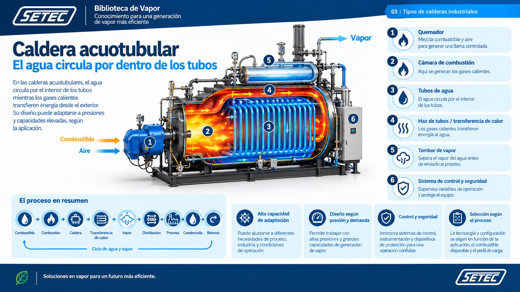 Infografía de una caldera acuotubular: quemador, cámara de combustión, tubos de agua, haz de tubos, tambor de vapor y sistema de control